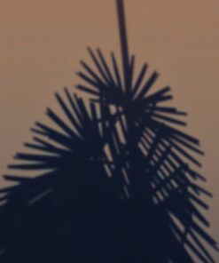 Over Keys Paint Numbers