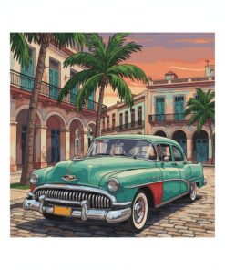 Parked Vintage Havana Buick Paint By Numbers
