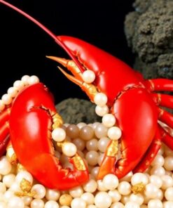 Realistic Claws Paint Numbers