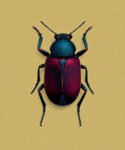 Beetle Khaki Paint Numbers