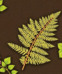 Pressed Fern Specimen Art Paint By Numbers
