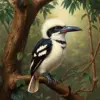 Rainforest Kookaburra Antique Study paint by numbers
