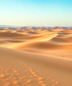 Compass Dunes Paint Numbers