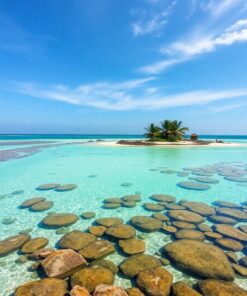 Low Tide Paint Numbers