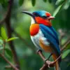 Realistic Canopy Motmot Portrait Paint By Numbers