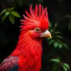 Realistic Crimson Crested Male Paint By Numbers