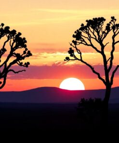 Acacia Silhouette Paint Numbers