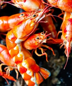 Freshwater Prawns Paint Numbers