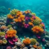 Realistic Hidden Coastal Reef Paint By Numbers