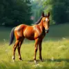 Realistic Hidden Pasture Foal Paint By Numbers