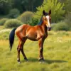 Realistic Hidden Pasture Foal paint by numbers