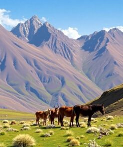 Plateau Grazers Paint Numbers