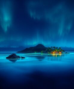 Island Bioluminescence Paint Numbers