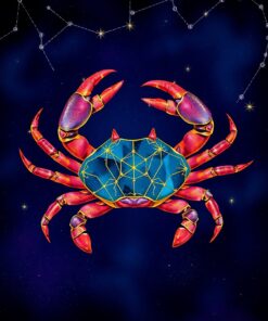 Constellation Crab Paint Numbers