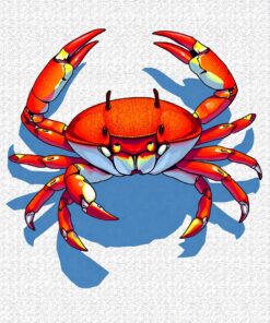 Crab Shadows Paint Numbers