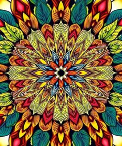 Realistic Jungle Feather Mandala Paint By Numbers