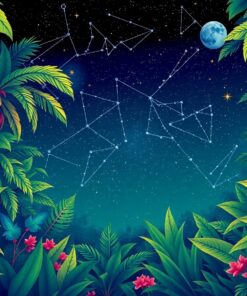 Star Belt Paint Numbers