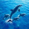 Dolphin Pod Paint Numbers