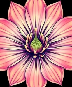 Cereus Mandala Paint Numbers