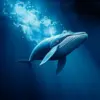 Realistic Midnight Whale Dive Paint By Numbers