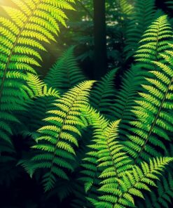 Fern Drops Paint Numbers