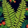 Fern Study Paint Numbers