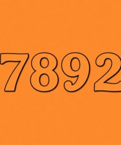 Map Starfish Paint Numbers