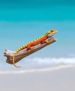 Driftwood Perch Paint Numbers