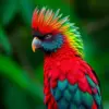 Realistic Resplendent Quetzal Portrait Paint By Numbers