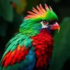 Realistic Resplendent Quetzal Portrait Paint By Numbers