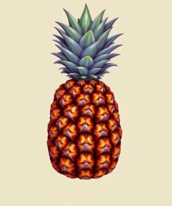 Pineapple Portrait Paint Numbers