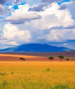 Cleared Plains Paint Numbers