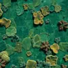 Realistic Sunken Coral Tiles Paint By Numbers