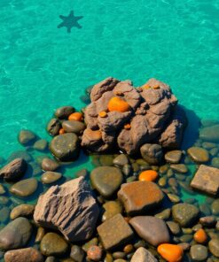 Pool Relics Paint Numbers