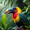 Realistic Toucanet Tropical Rain Paint By Numbers