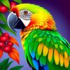 Island Macaw Paint Numbers