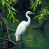 Mangrove Egret Paint Numbers
