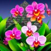 Pyramid Orchids Paint Numbers