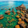 Tide Pools Paint Numbers