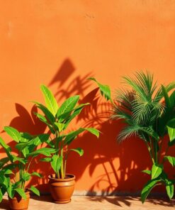 Wall Shadows Paint Numbers