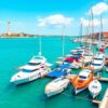 Harbor Yachts Paint Numbers
