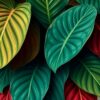 Monstera Frond Paint Numbers