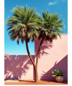 Palm Shadows Paint Numbers