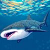 Realistic Whale Shark Journey Paint By Numbers