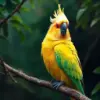 Resting Sulphur Crested Parrot Paint By Numbers