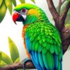 Tropical Parrot Paint Numbers