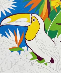 Retro Half Finished Toucan Paint By Numbers