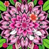 Flora Mandala Paint Numbers