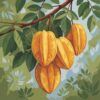 Rustic Carambola Botanical Art Paint By Numbers