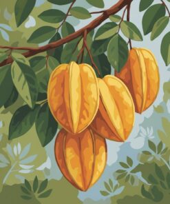 Rustic Carambola Botanical Art Paint By Numbers